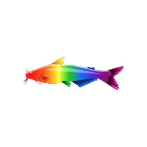 Rainbow Catfish